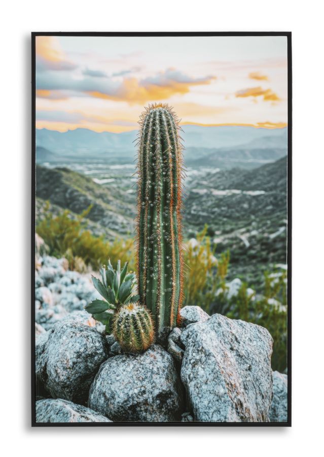 Tablou Mauro Ferretti Cactus, 60x90 cm, 000A