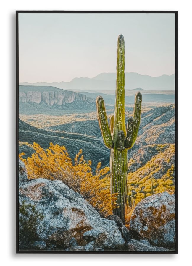 Tablou Mauro Ferretti Cactus, 60x90 cm, 000B