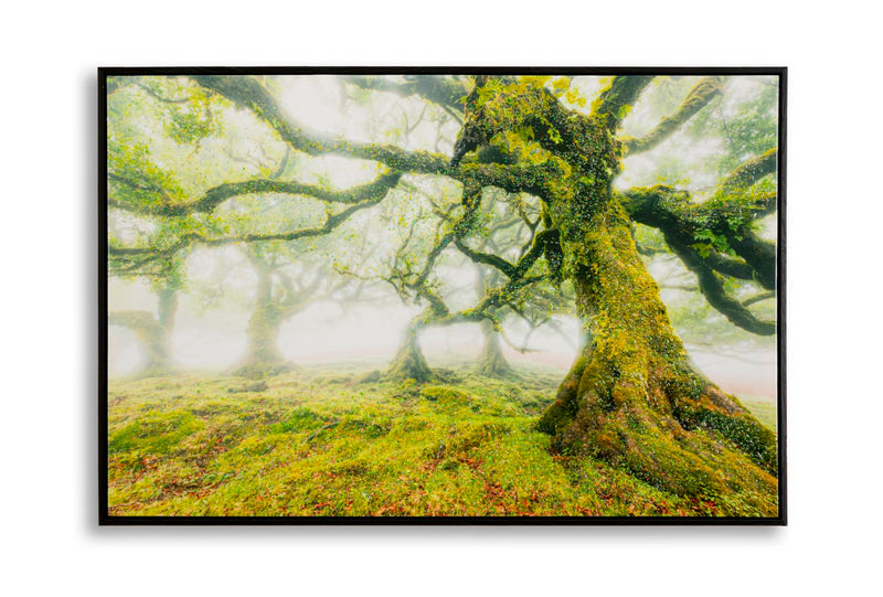 Tablou Mauro Ferretti Forest, 90x60 cm