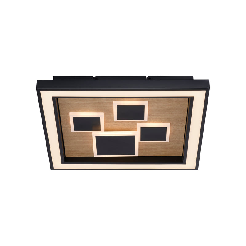 Plafoniera Paul Neuhaus ELIZA LED Negru