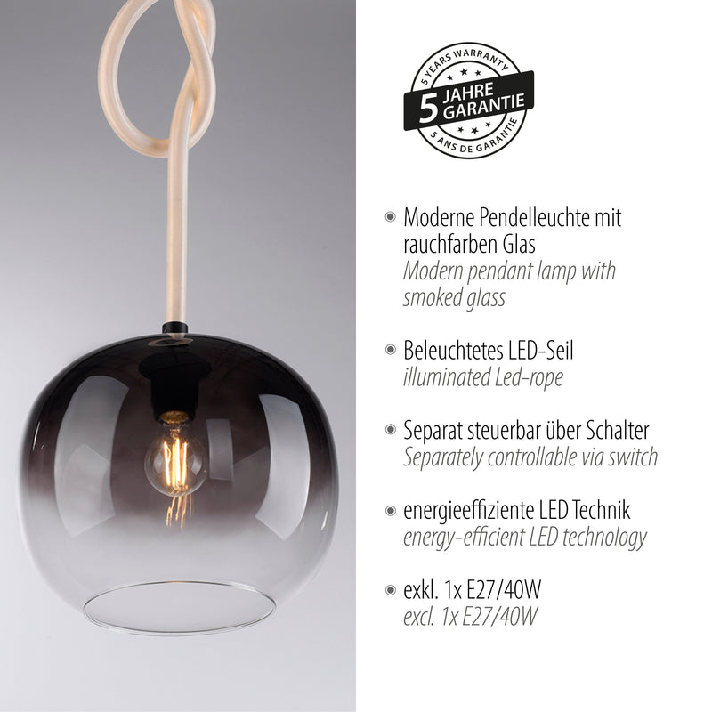 Lustra Paul Neuhaus LUMA 1xE27/LED Negru