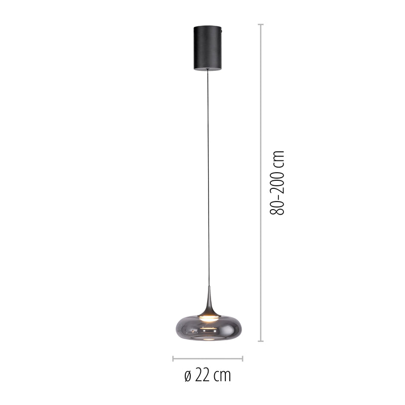 Lustra Paul Neuhaus POSH LED Gri