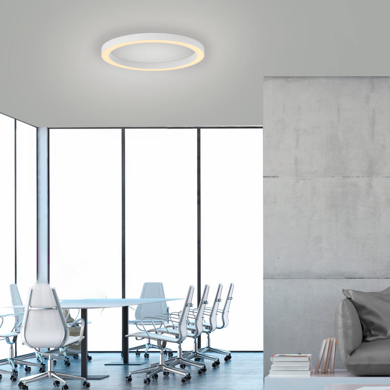 Plafoniera Paul Neuhaus PURE LINES ROUND LED Alb