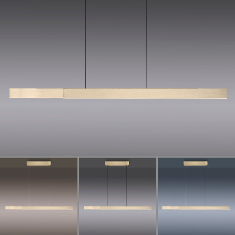 Lustra Paul Neuhaus PURE-MOTO-RISE 3xLED Auriu