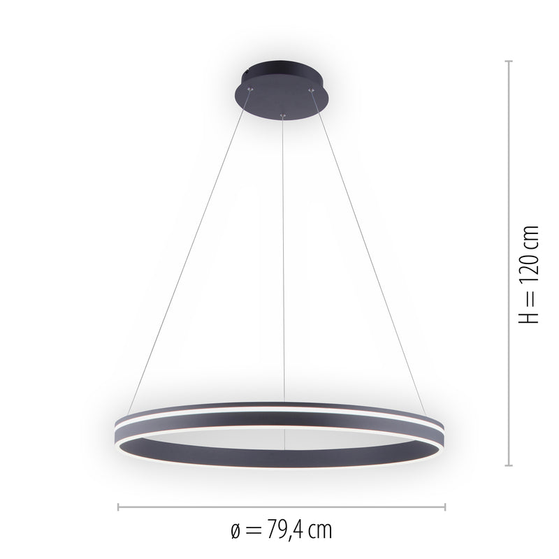 Lustra Paul Neuhaus Q-VITO LED Antracit