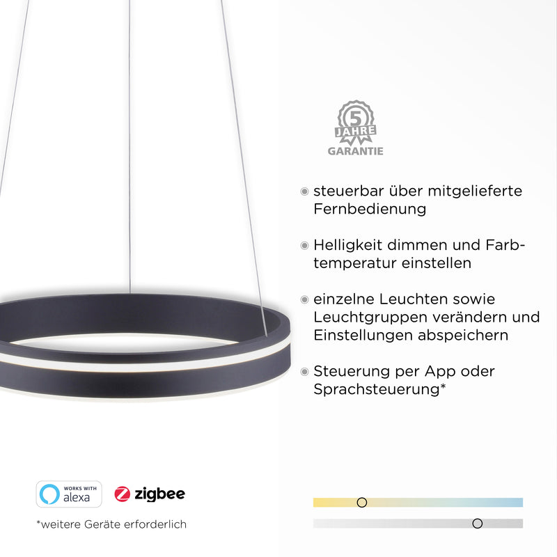 Lustra Paul Neuhaus Q-VITO LED Antracit