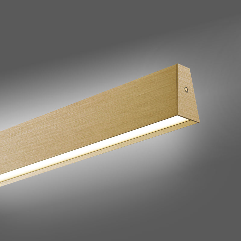 Lustra Paul Neuhaus PURE E-MOTION 2xLED Alama Mat