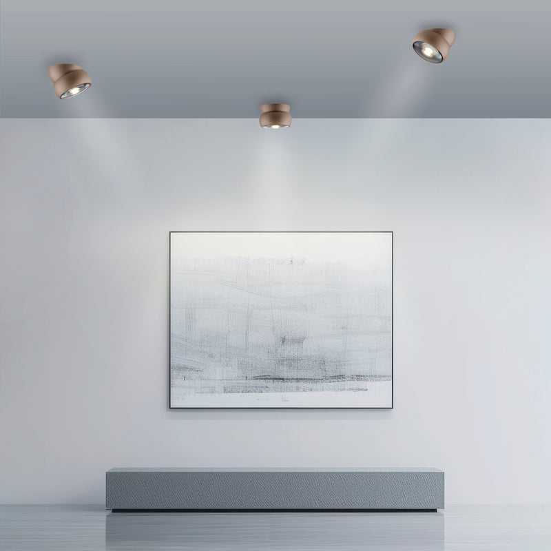 Plafoniera Paul Neuhaus PURE MOVE LED Maro