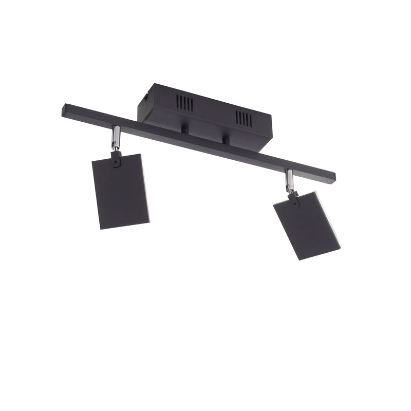 Plafoniera Paul Neuhaus PURE-MIRA 2xLED Negru