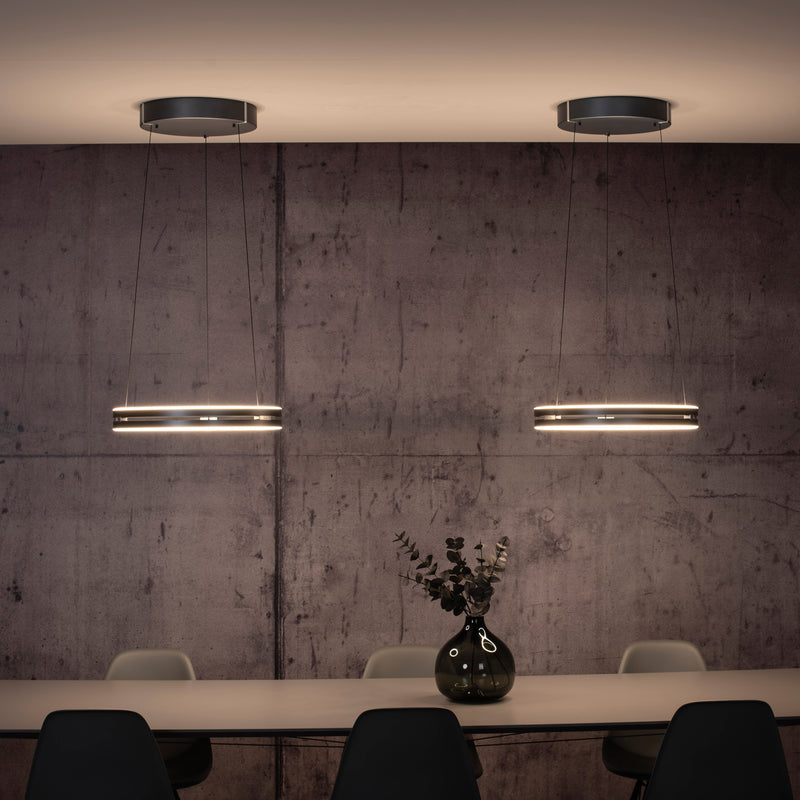 Lustra Paul Neuhaus PURE E-LOOP 2xLED Gri