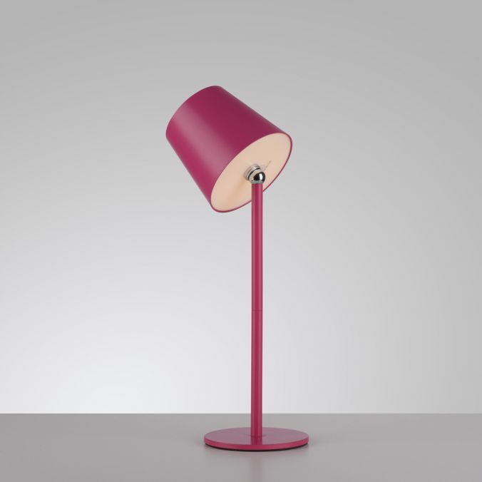 Veioza Paul Neuhaus BOTERIA LED Roz