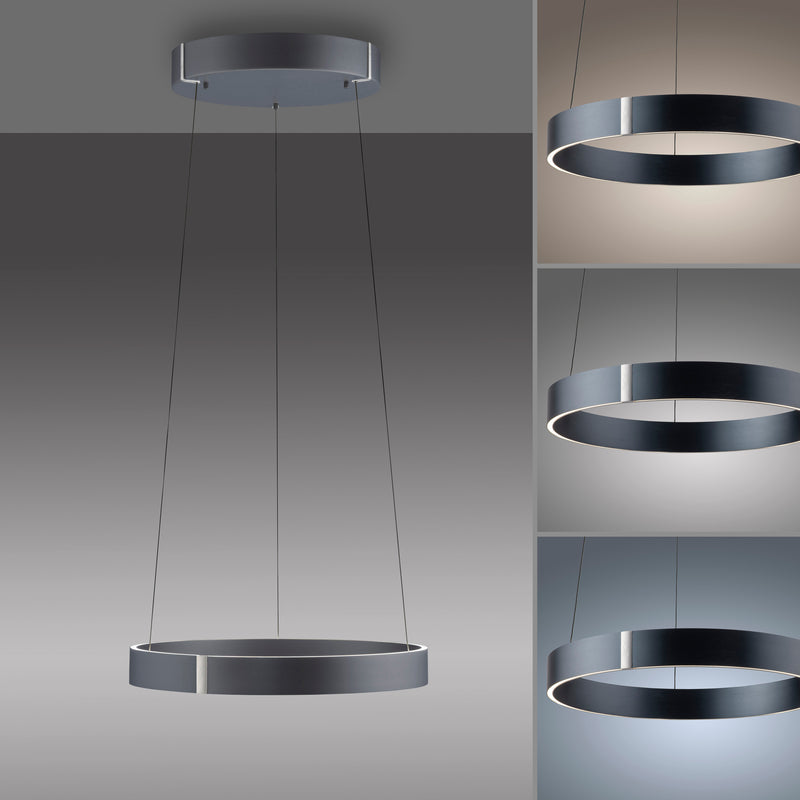 Lustra Paul Neuhaus PURE E-CLIPSE 2xLED Gri