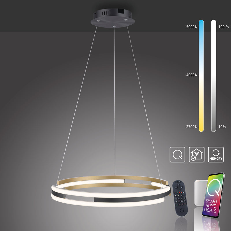 Lustra Paul Neuhaus Q-BELUGA LED Alama Mat