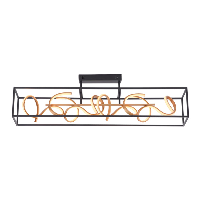 Plafoniera Paul Neuhaus SELINA 4xLED Negru