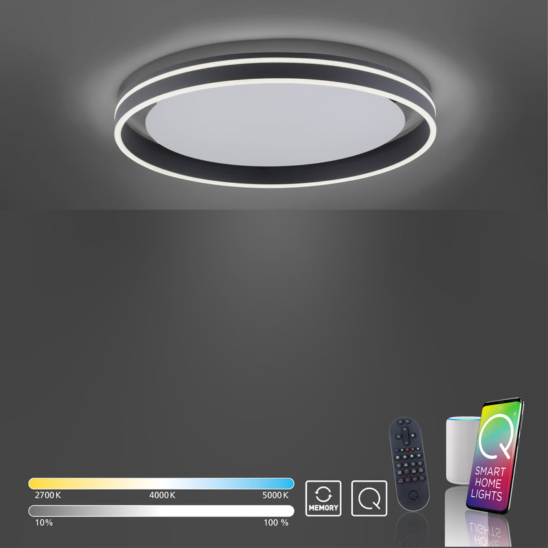 Plafoniera Paul Neuhaus Q-VITO LED Antracit