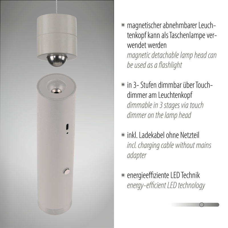 Lustra Paul Neuhaus ATTACH LED Gri