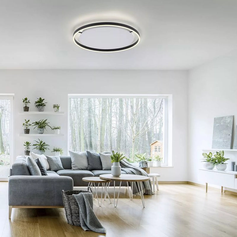Plafoniera Paul Neuhaus RITUS LED Antracit