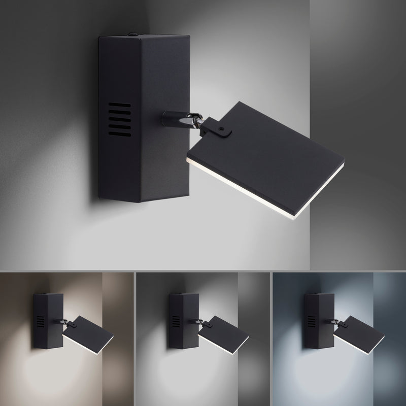 Aplica Paul Neuhaus PURE-MIRA LED Antracit
