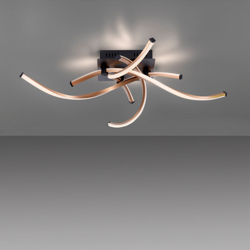 Plafoniera Paul Neuhaus POLINA 4xLED Negru
