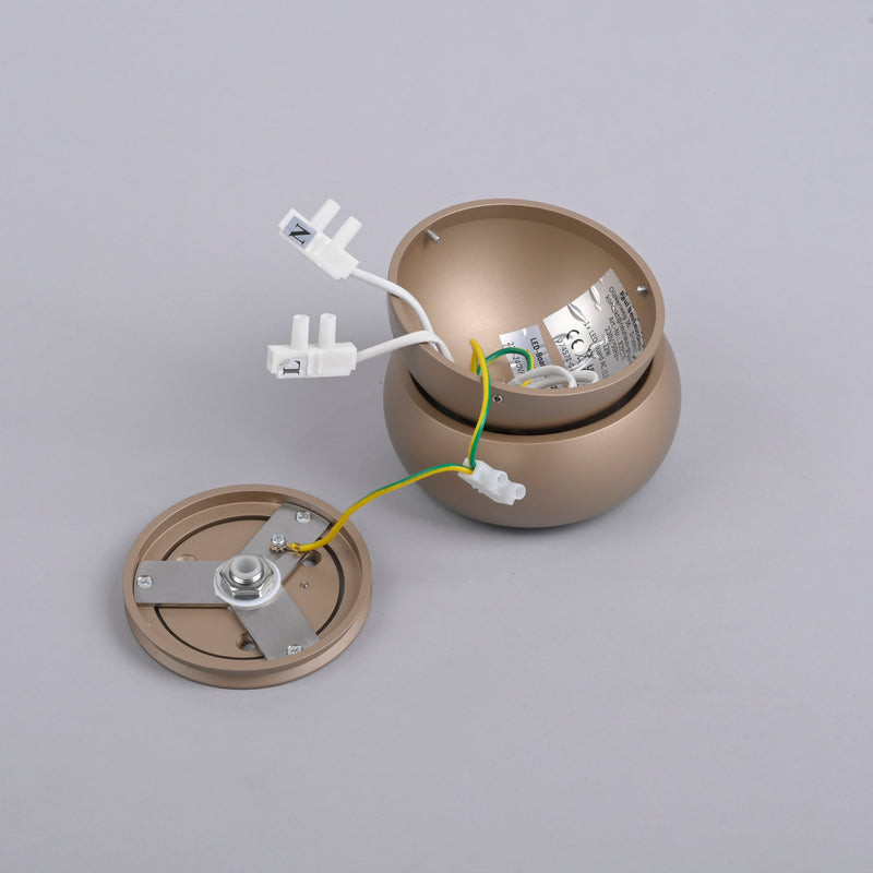 Plafoniera Paul Neuhaus PURE MOVE LED Maro