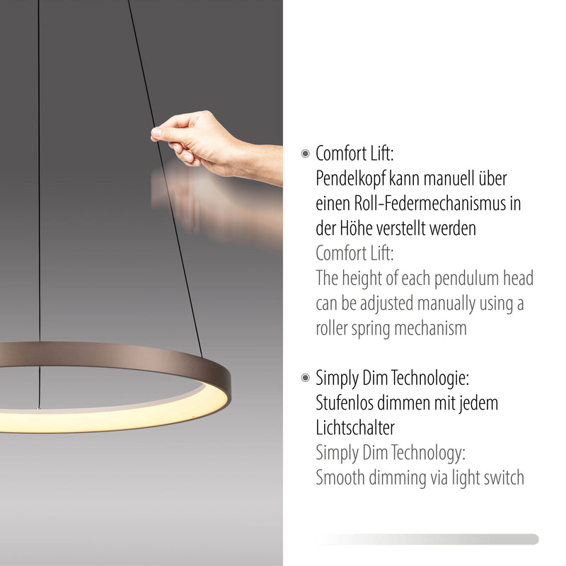 Lustra Paul Neuhaus HOOP LED Cafeniu
