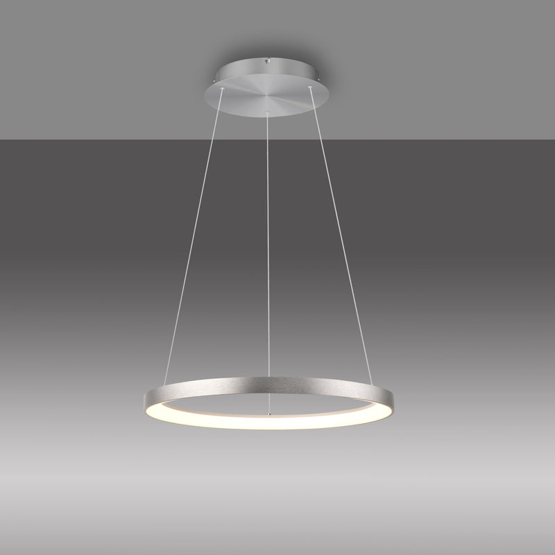 Lustra Paul Neuhaus HOOP LED Aluminiu