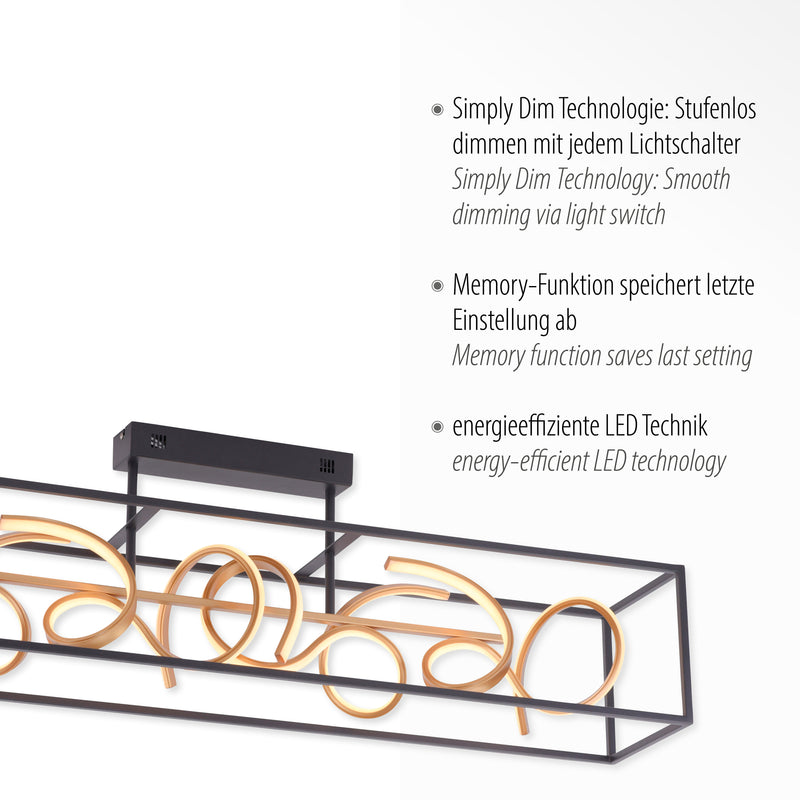 Plafoniera Paul Neuhaus SELINA 4xLED Negru