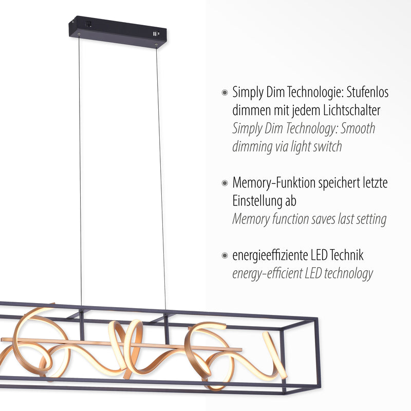 Lustra Paul Neuhaus SELINA 4xLED Negru