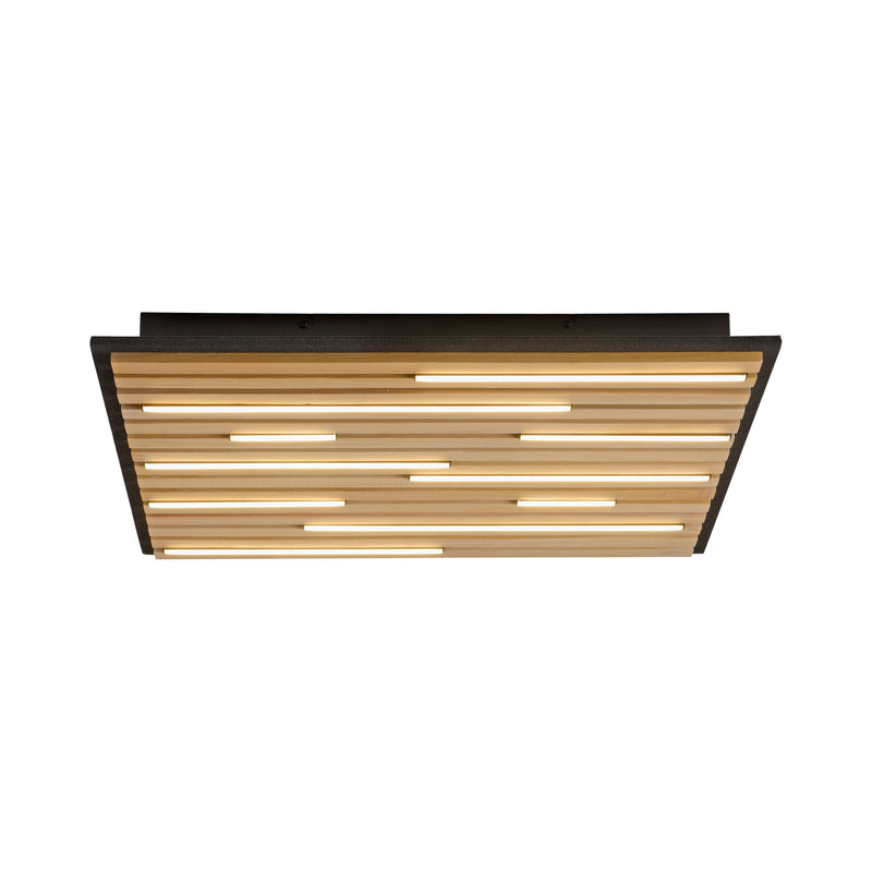 Plafoniera Paul Neuhaus Q-AKUSTIK LED Lemn
