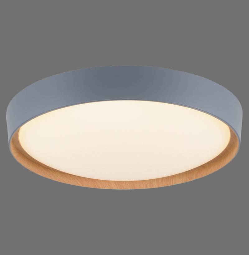 Plafoniera Paul Neuhaus Q-EMILIA LED Gri