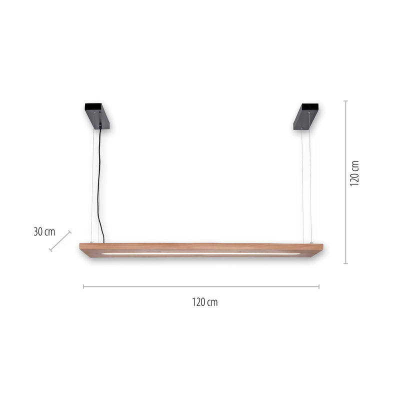 Lustra Paul Neuhaus PALMA LED Negru