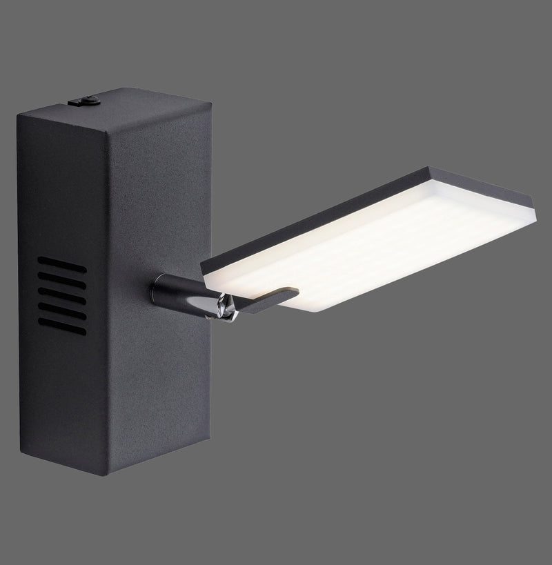 Aplica Paul Neuhaus PURE-MIRA LED Antracit
