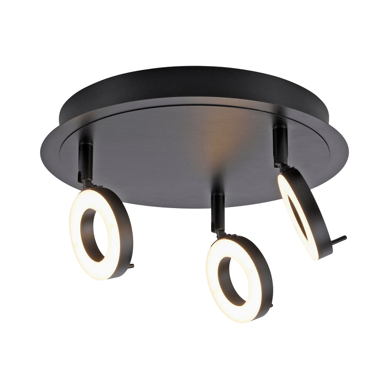 Plafoniera Paul Neuhaus SILEDA 3xLED Antracit