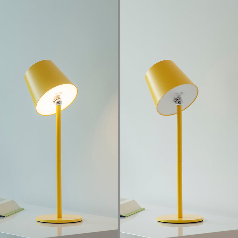 Veioza Paul Neuhaus BOTERIA LED Galben