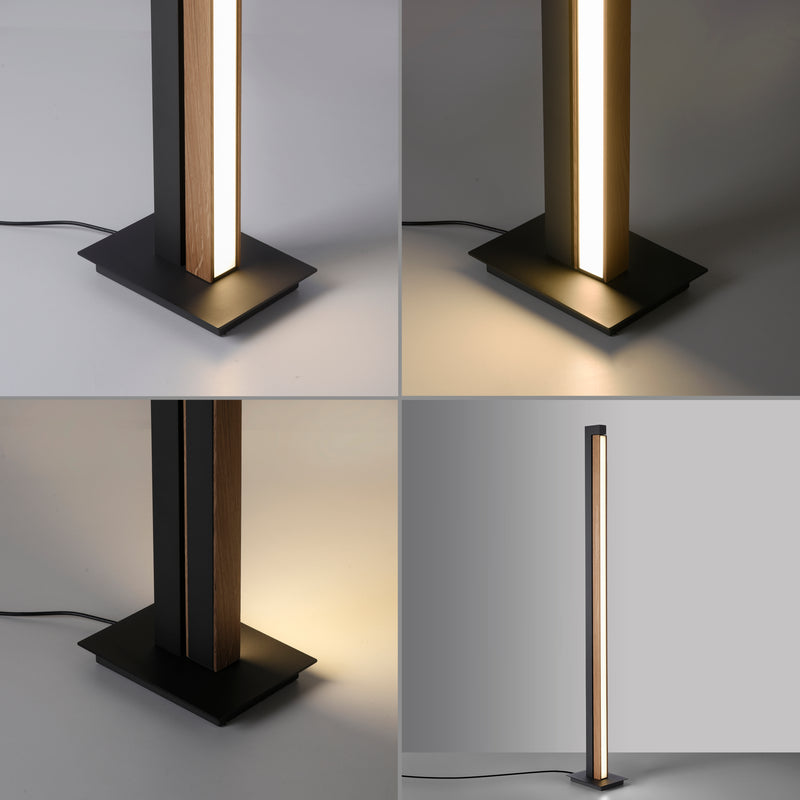 Lampadar Paul Neuhaus PURE-LINES LED Lemn