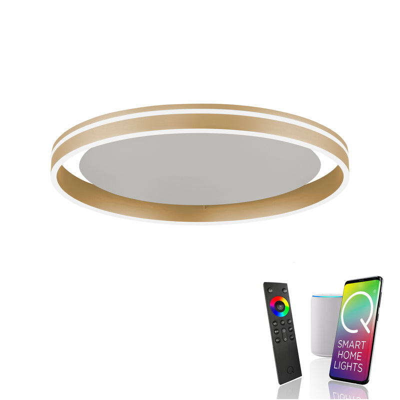 Plafoniera Paul Neuhaus Q-VITO LED Alama Mat
