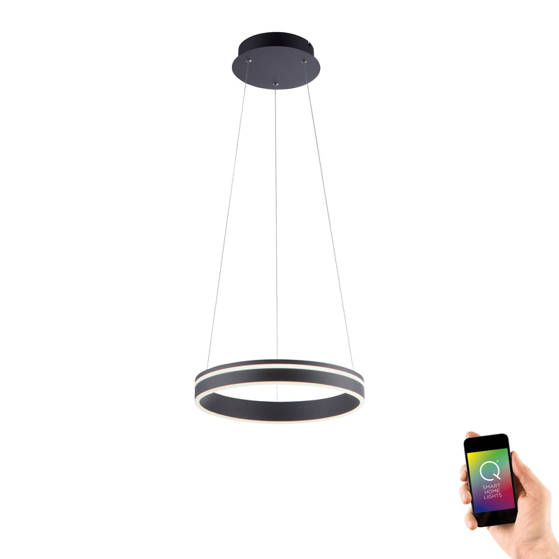 Lustra Paul Neuhaus Q-VITO LED Antracit
