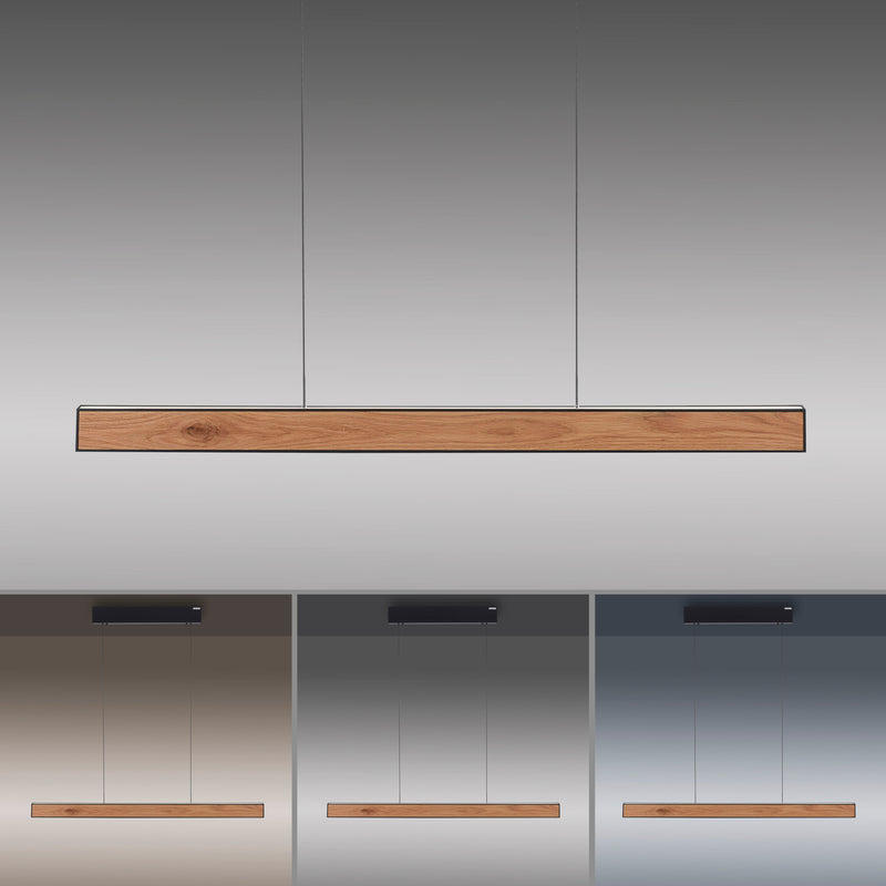 Lustra Paul Neuhaus PURE E-MOTION 2xLED Negru