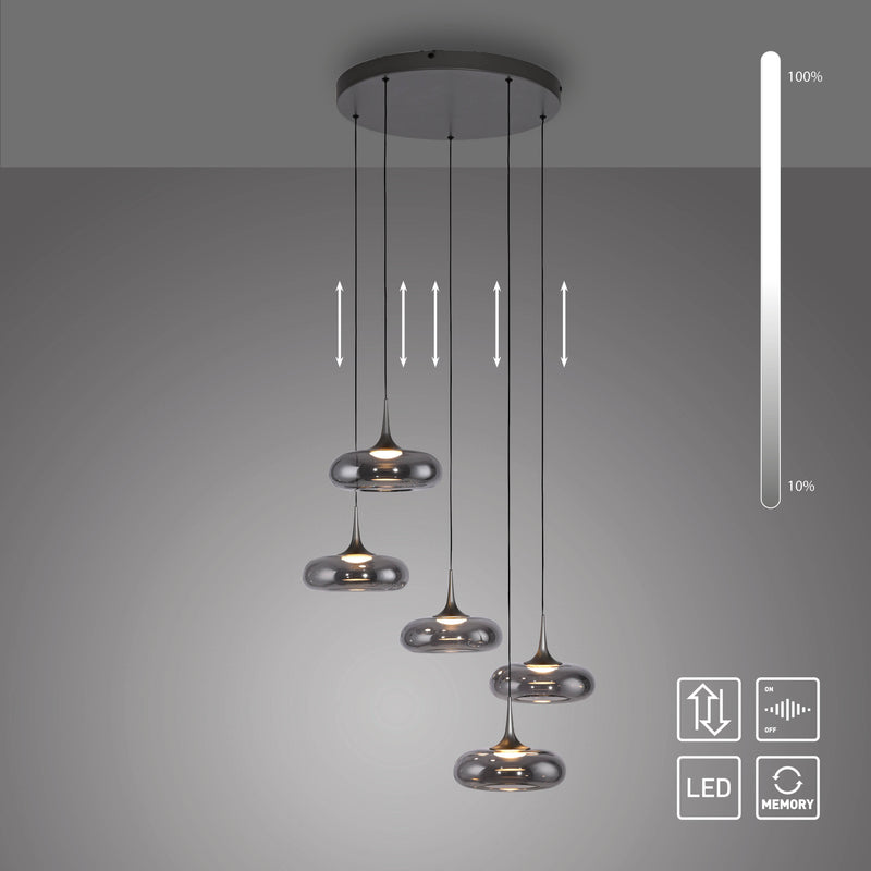 Lustra Paul Neuhaus POSH 5xLED Gri