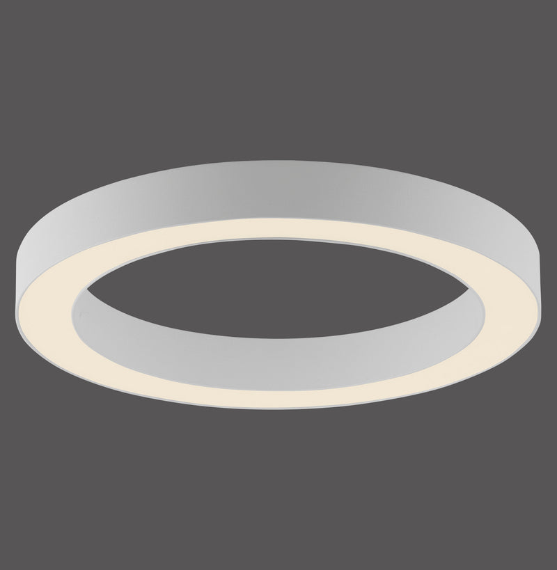 Plafoniera Paul Neuhaus PURE LINES ROUND LED Alb