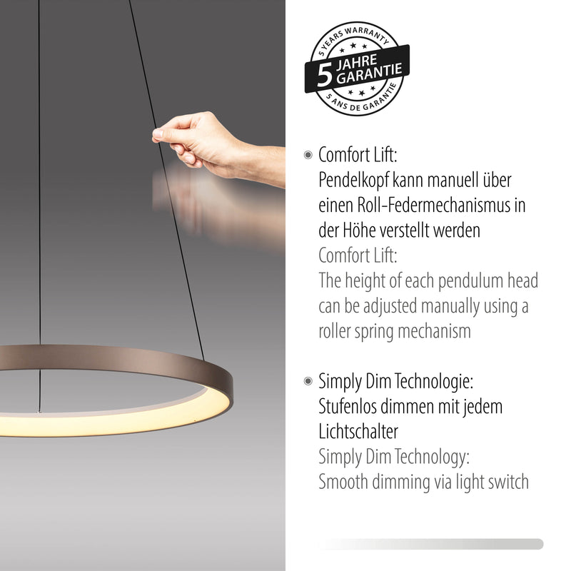 Lustra Paul Neuhaus HOOP LED Cafeniu