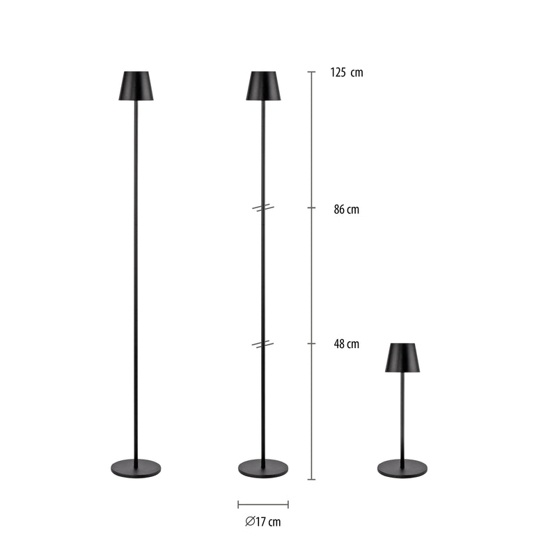 Lampa Exterior Paul Neuhaus EURIA LED Negru