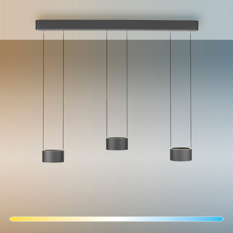 Lustra Paul Neuhaus PURE CLIPSE 6xLED Gri