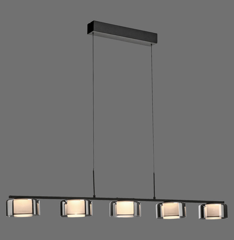 Lustra Paul Neuhaus RIKA 5xLED Negru