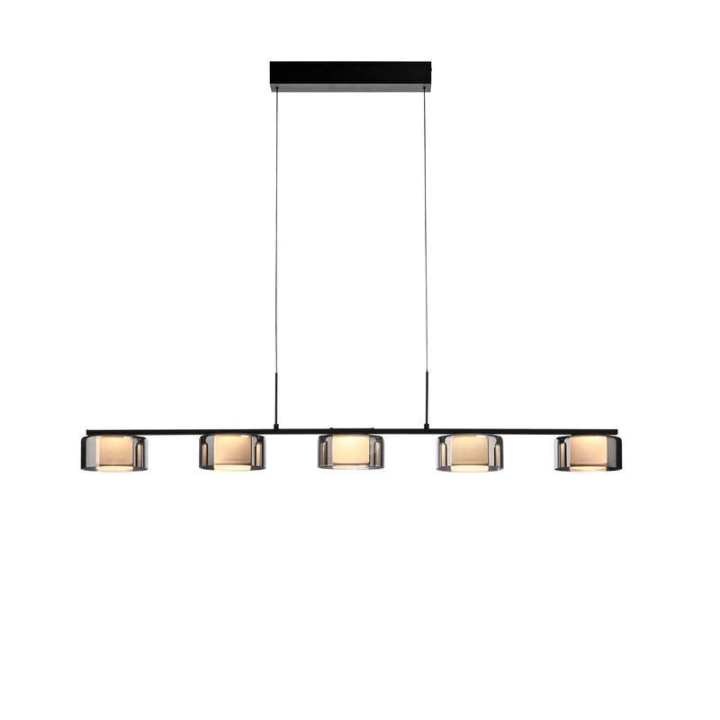 Lustra Paul Neuhaus RIKA 5xLED Negru