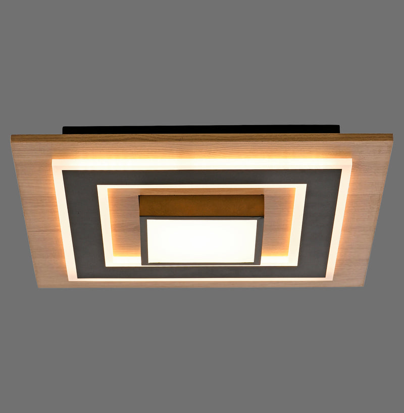 Plafoniera Paul Neuhaus TOLA LED Negru