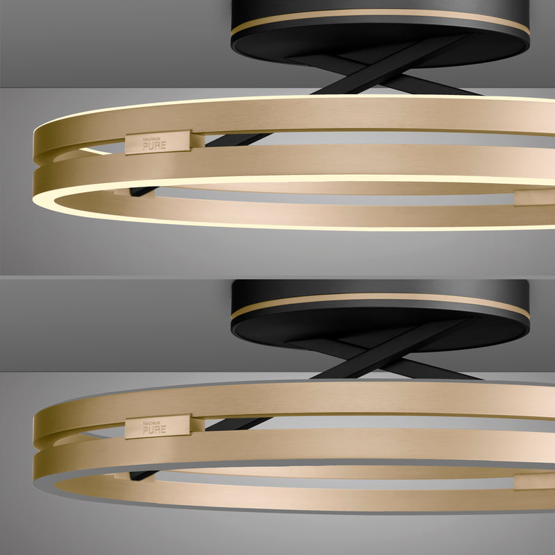 Plafoniera Paul Neuhaus PURE LOOP 2xLED Negru