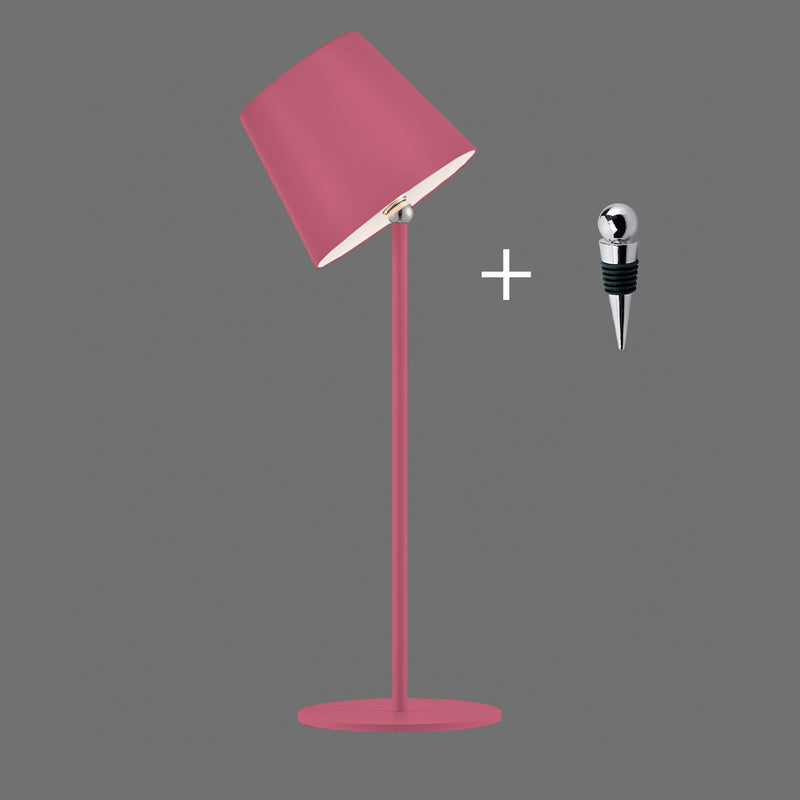 Veioza Paul Neuhaus BOTERIA LED Roz