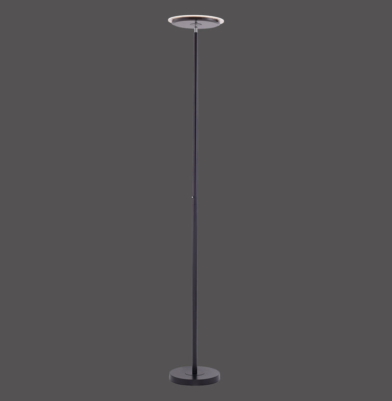 Lampadar Paul Neuhaus HANS LED Negru