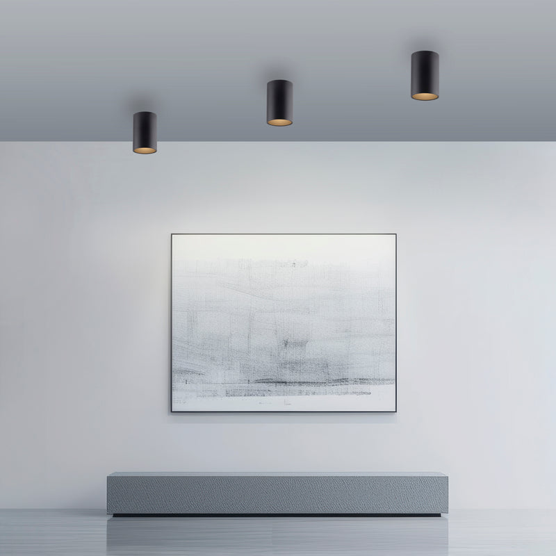 Plafoniera Paul Neuhaus PURE POINT LED Negru